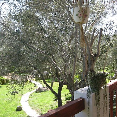 Loiri Porto San Paolo Maravilla المظهر الخارجي الصورة