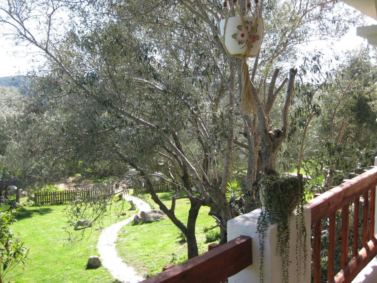Loiri Porto San Paolo Maravilla المظهر الخارجي الصورة