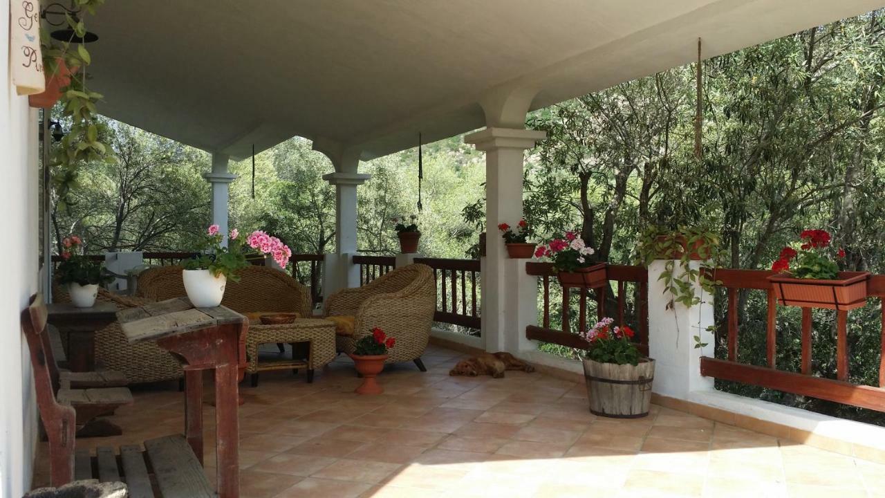 Loiri Porto San Paolo Maravilla المظهر الخارجي الصورة