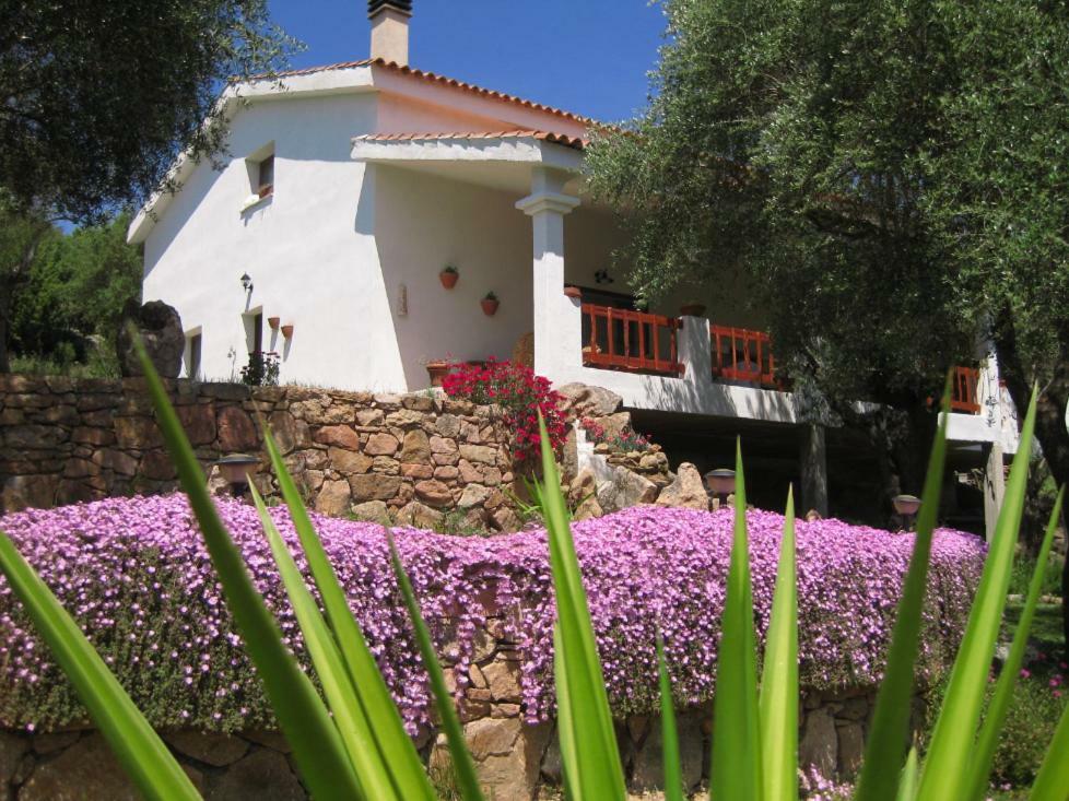 Loiri Porto San Paolo Maravilla المظهر الخارجي الصورة